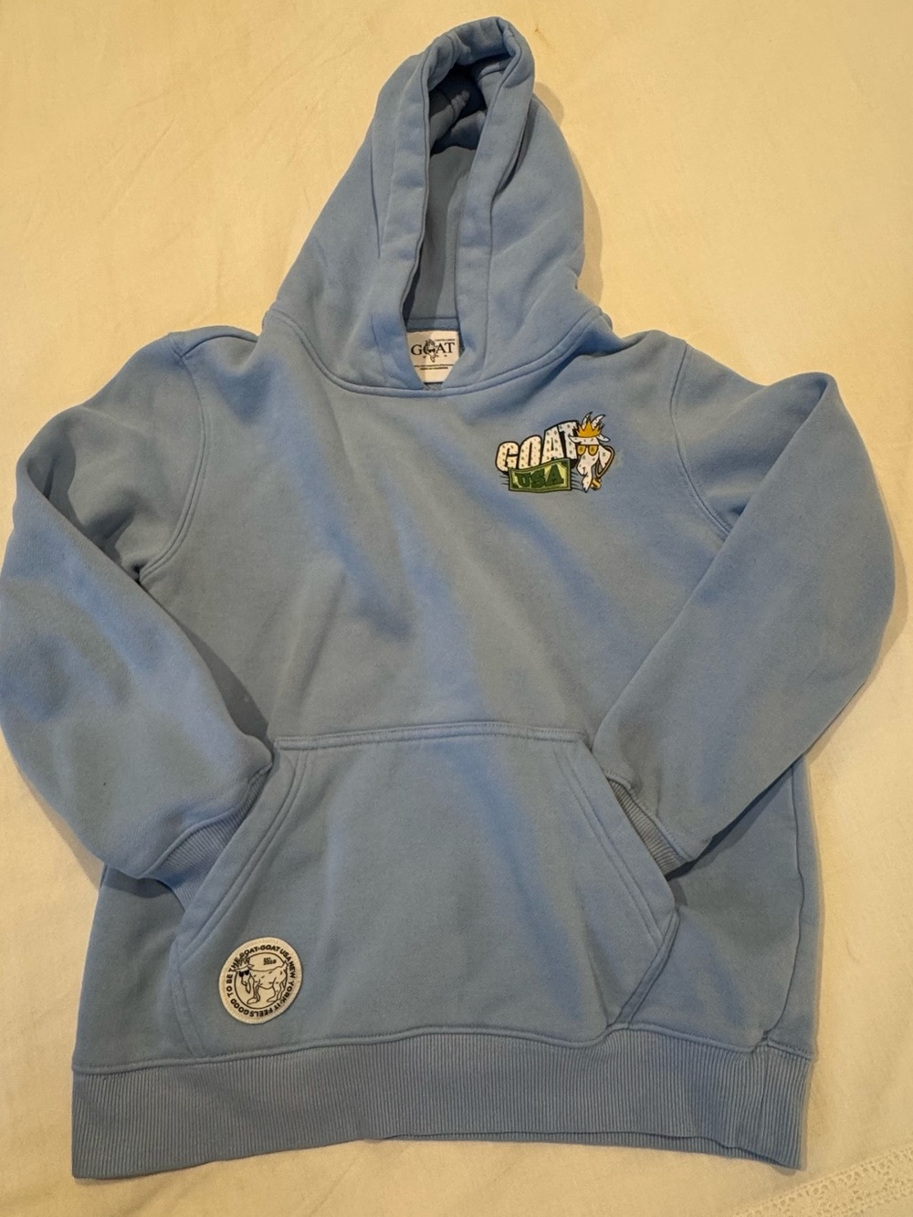 GOAT Kids Light Blue Hoodie with Graphic Logo